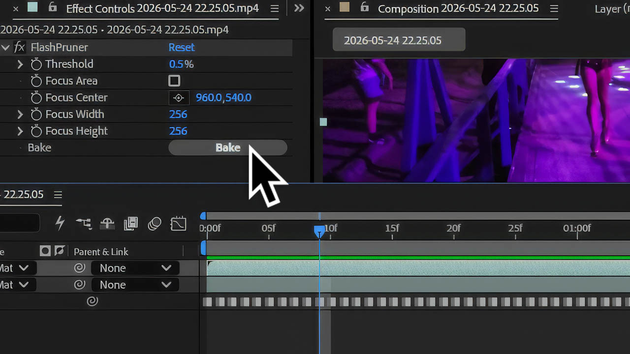 FlashPrune screenshot